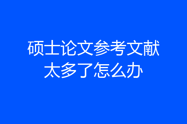 硕士论文参考文献太多了怎么办