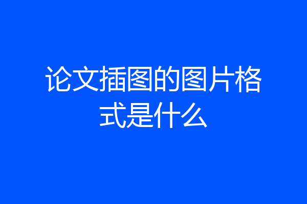 论文插图的图片格式是什么