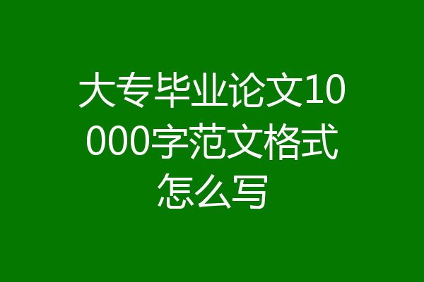 大专毕业论文10000字范文格式怎么写
