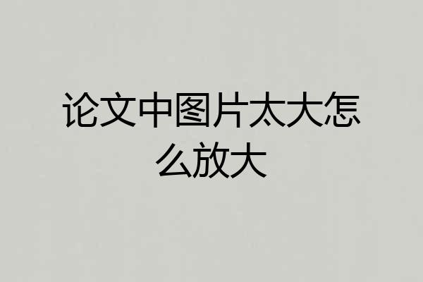 论文中图片太大怎么放大