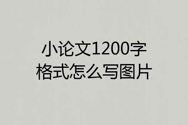 小论文1200字格式怎么写图片