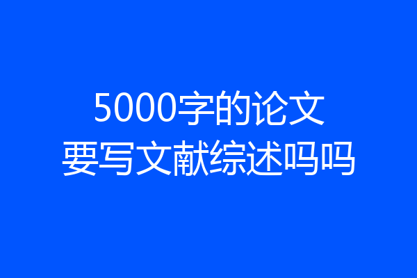 5000字的论文要写文献综述吗吗