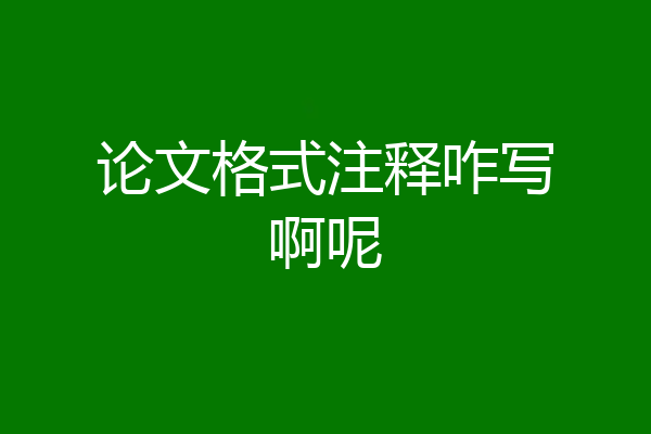 论文格式注释咋写啊呢