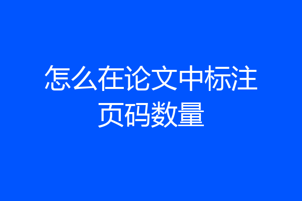 怎么在论文中标注页码数量