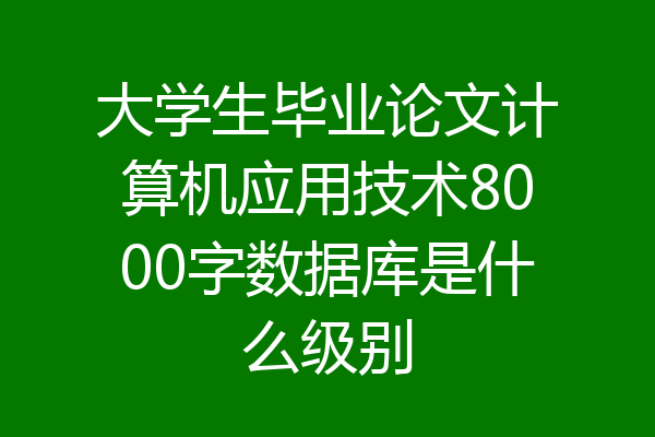 大学生毕业论文计算机应用技术8000字数据库是什么级别