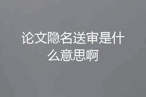 论文隐名送审是什么意思啊