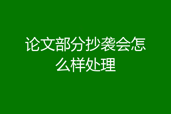 论文部分抄袭会怎么样处理