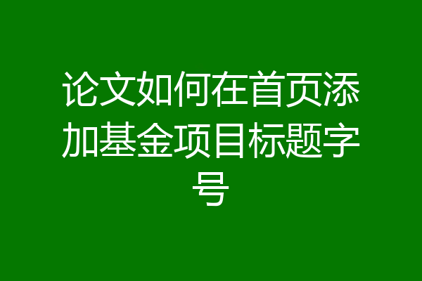 论文如何在首页添加基金项目标题字号