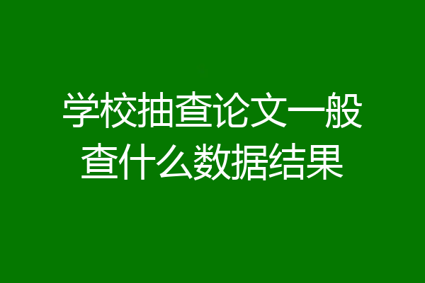 学校抽查论文一般查什么数据结果