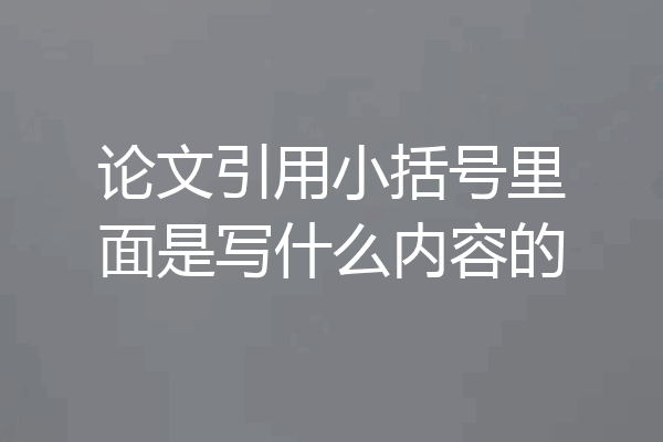 论文引用小括号里面是写什么内容的