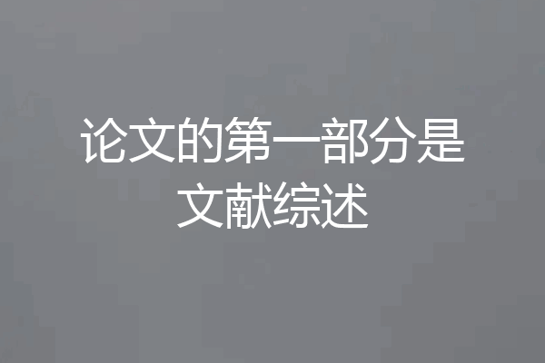论文的第一部分是文献综述