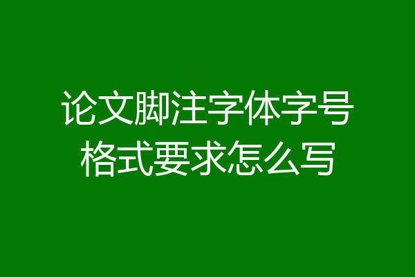 论文脚注字体字号格式要求怎么写