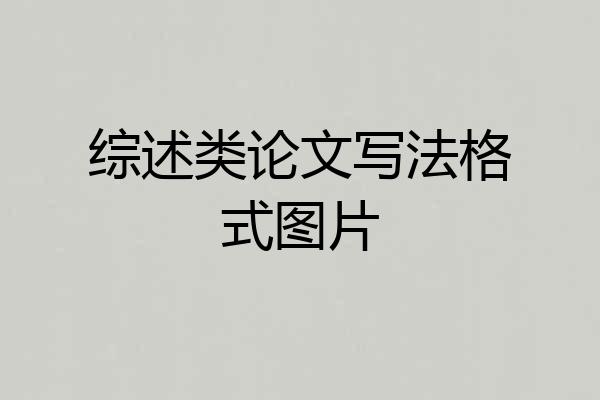 综述类论文写法格式图片