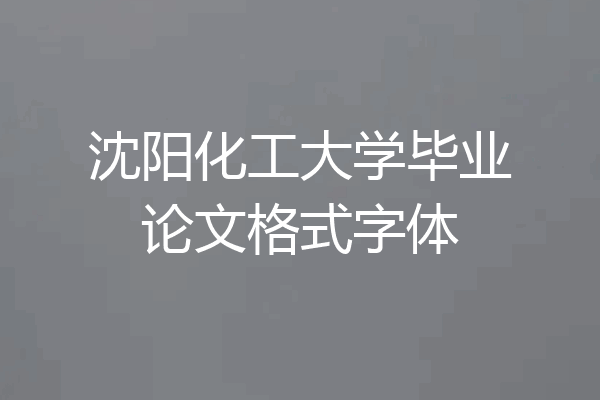 沈阳化工大学毕业论文格式字体