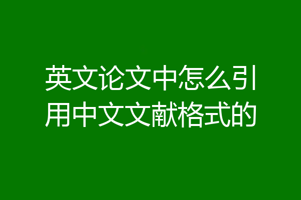 英文论文中怎么引用中文文献格式的