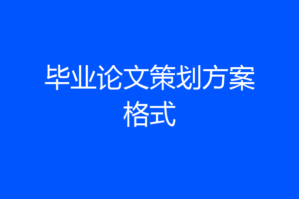 毕业论文策划方案格式