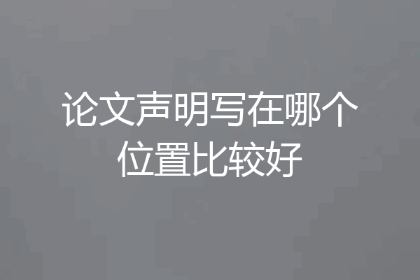论文声明写在哪个位置比较好