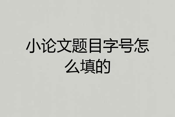 小论文题目字号怎么填的