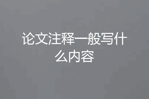 论文注释一般写什么内容