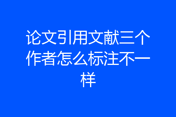 论文引用文献三个作者怎么标注不一样