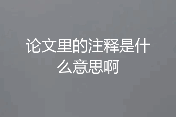 论文里的注释是什么意思啊