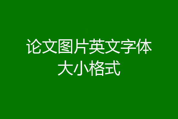 论文图片英文字体大小格式