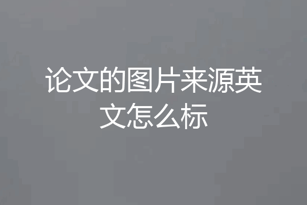 论文的图片来源英文怎么标