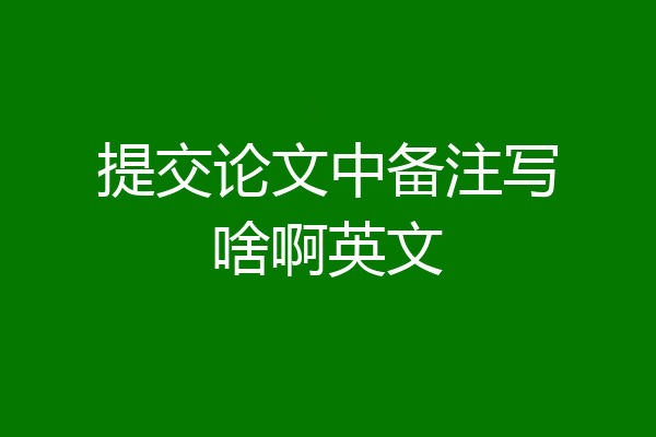 提交论文中备注写啥啊英文