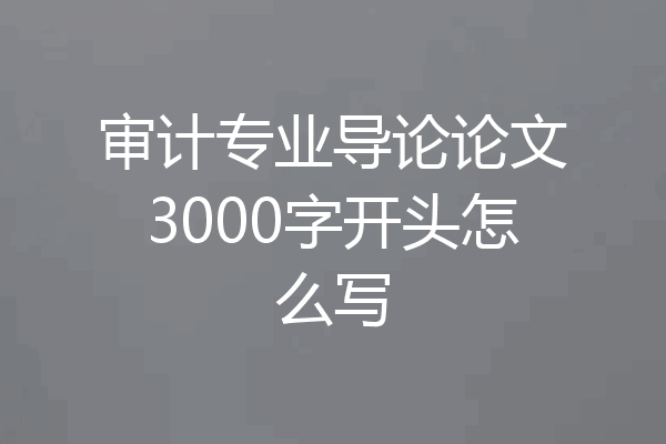审计专业导论论文3000字开头怎么写