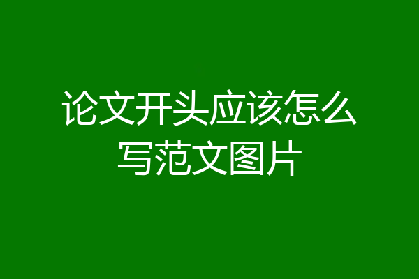 论文开头应该怎么写范文图片