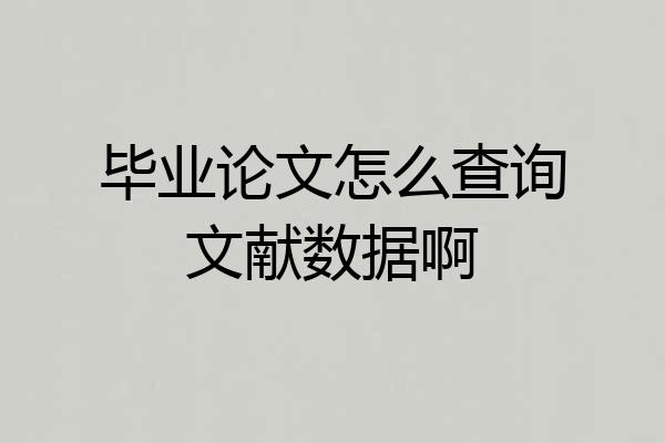 毕业论文怎么查询文献数据啊