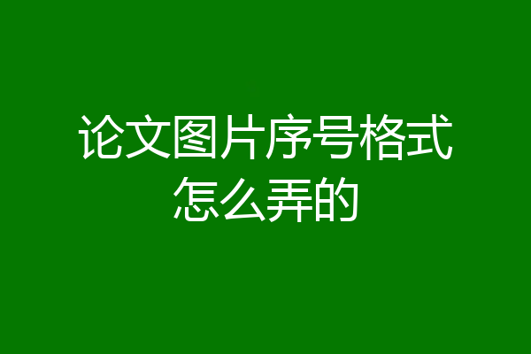 论文图片序号格式怎么弄的
