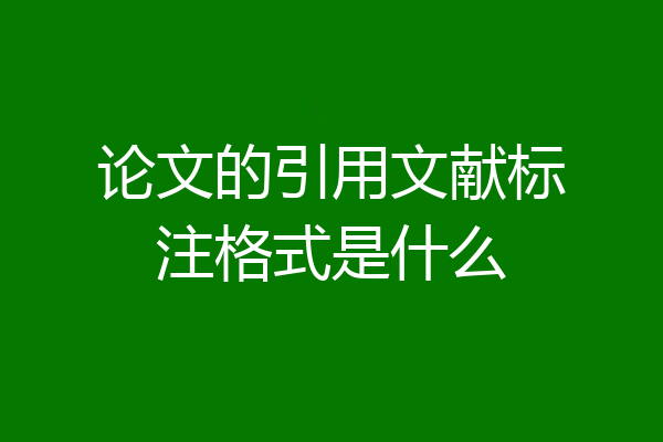 论文的引用文献标注格式是什么