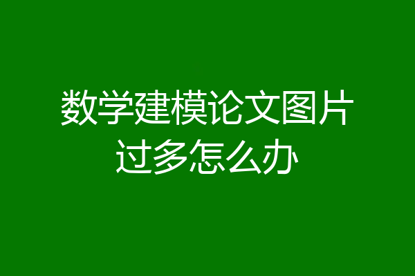 数学建模论文图片过多怎么办