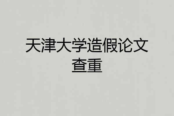 天津大学造假论文查重