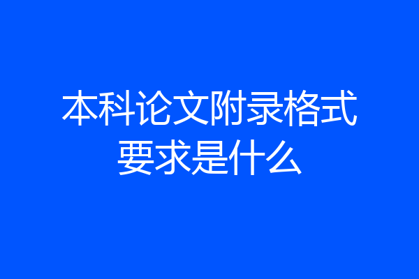 本科论文附录格式要求是什么