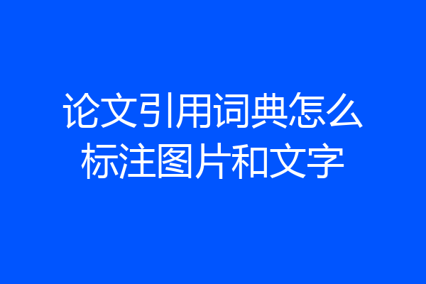 论文引用词典怎么标注图片和文字
