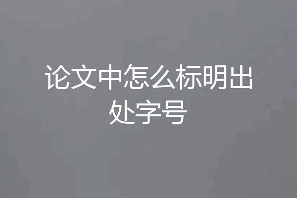 论文中怎么标明出处字号