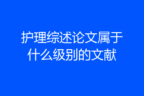 护理综述论文属于什么级别的文献