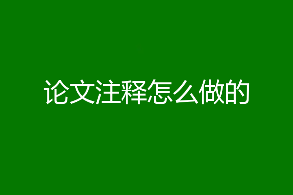 论文注释怎么做的