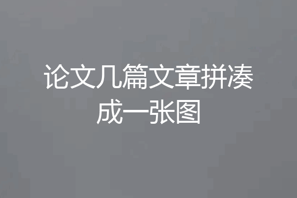 论文几篇文章拼凑成一张图