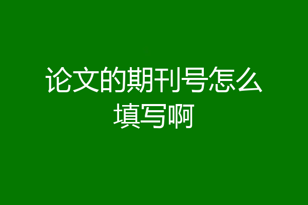 论文的期刊号怎么填写啊