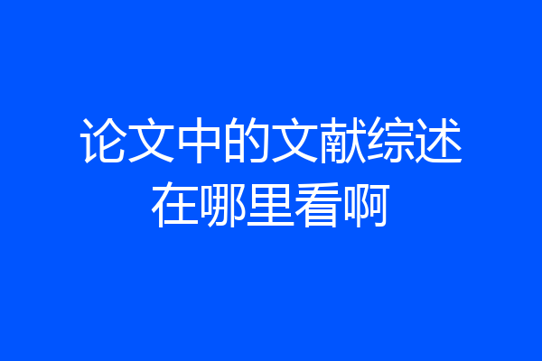 论文中的文献综述在哪里看啊