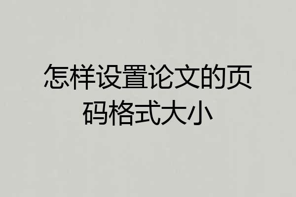 怎样设置论文的页码格式大小