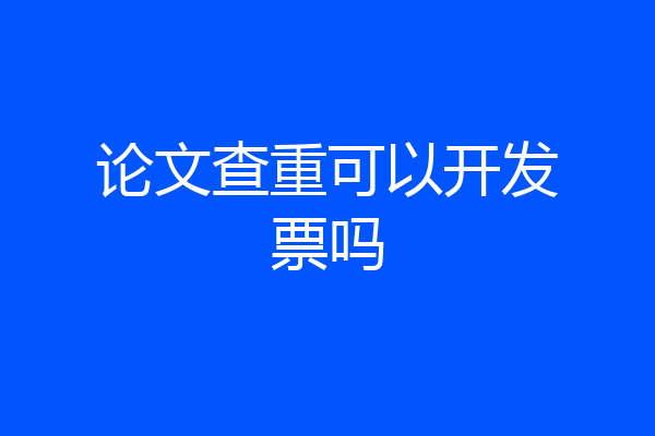 论文查重可以开发票吗