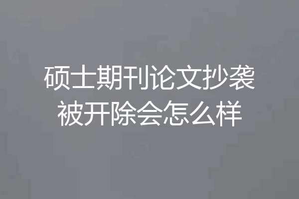 硕士期刊论文抄袭被开除会怎么样