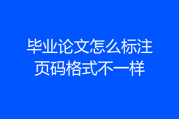 毕业论文怎么标注页码格式不一样