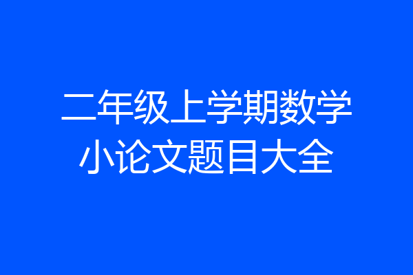 二年级上学期数学小论文题目大全