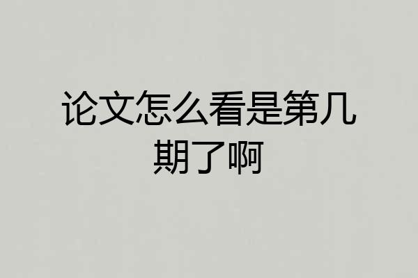 论文怎么看是第几期了啊