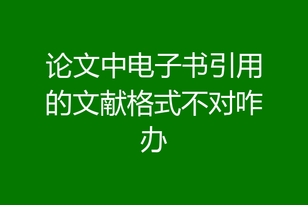 论文中电子书引用的文献格式不对咋办